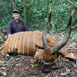 Bongo Hunt Cameroon