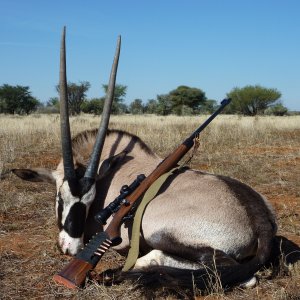 Gemsbok Hunt South Africa