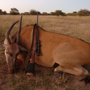 Unusual Eland Hunt Namibia