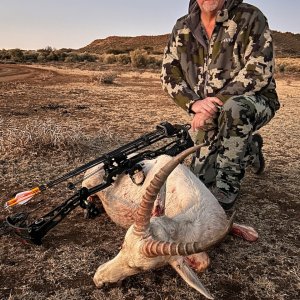 White Blesbok Bow Hunt