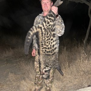 Civet Cat Hunt