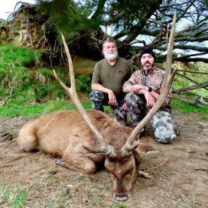 Rusa Deer Hunt New Zealand