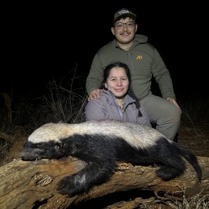 Honey Badger Hunting South Africa