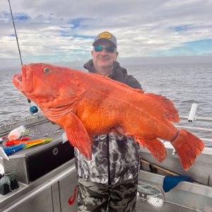 Fishing Rockfish Kodiak Island Alaska