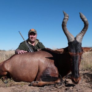 Red Hartebeest Hunting