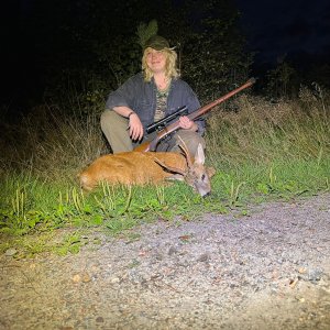 Roe Deer Hunt Vaestergoetland Sweden