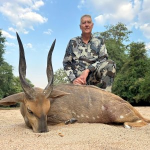 Bushbuck Hunt Mozambique