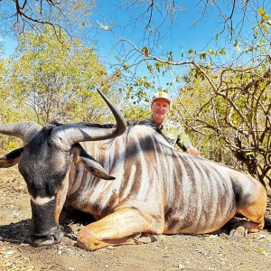 Niassa Wildebeest Hunt Mozambique