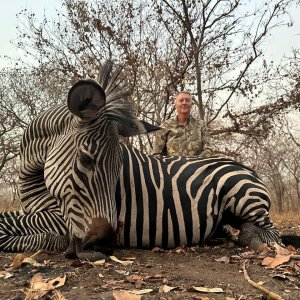 Zebra Hunt Mozambique