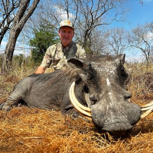 Warthog Hunt Mozambique