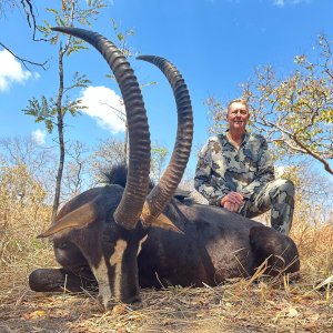 Sable Hunt Mozambique