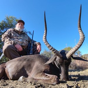 Black Impala Hunt South Africa