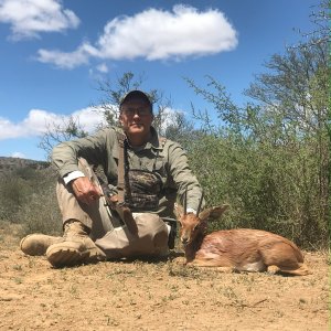 Steenbok Hunt