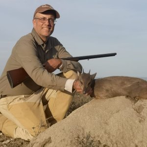 Blue Duiker Hunt South Africa