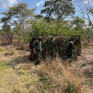 Leopard Blind Tanzania