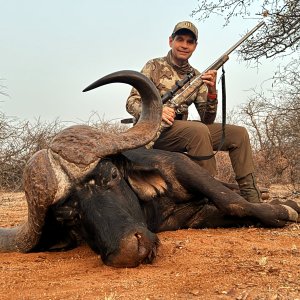 Cape Buffalo Hunt South Africa