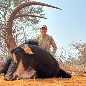 Media '47 & 47 1/2 Inch Sable Hunt South Africa' in category 'Hunting Africa'