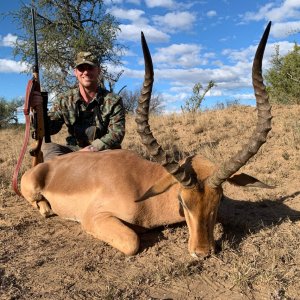 Impala Hunt Eastern Cape South Africa