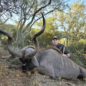 Kudu Hunt Eastern Cape South Africa