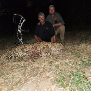 Leopard Bow Hunt Zambia