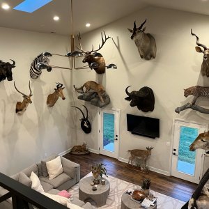 Trophy Room