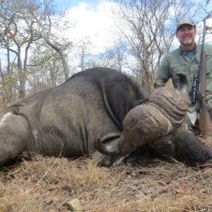 Buffalo Hunt South Africa