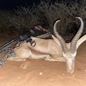 Springbok Bow Hunt Namibia