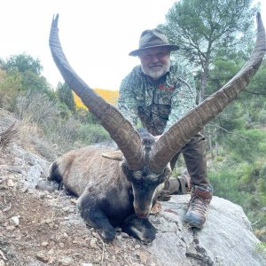 Hunting Beceite Spain Ibex