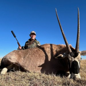 Gemsbok Hunt South Africa