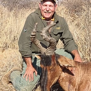 Old Hartebeest Hunt Namibia