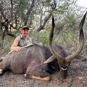 Nyala Hunt Eastern Cape South Africa