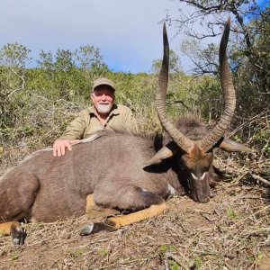 Nyala Hunt Eastern Cape South Africa