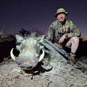 Warthog Hunt South Africa