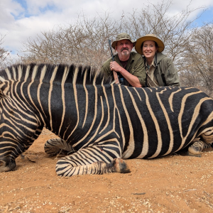 Zebra Hunt South Africa