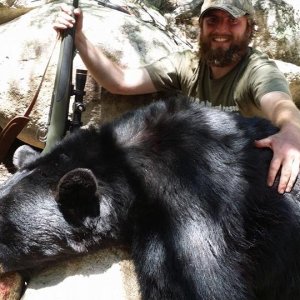 Black Bear Hunt New Mexico