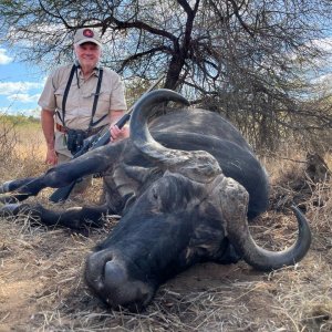 Buffalo Hunt South Africa