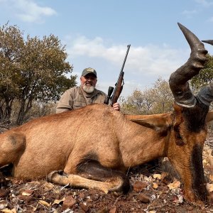 Red Hartebeest Hunt Limpopo South Africa