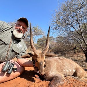 Bushbuck Hunt Limpopo South Africa