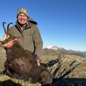 New Zealand Chamois