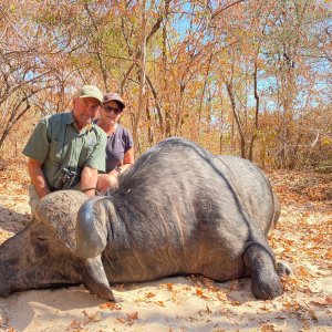 Buffalo Hunt Zimbabwe