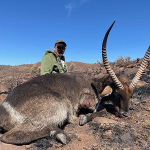 Waterbuck Hunt South Africa