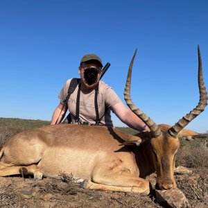 Impala Hunt South Africa