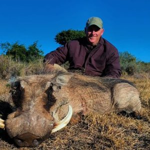 Warthog Hunt Karoo South Africa