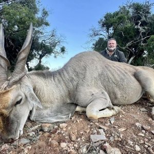 Eland Hunt Karoo South Africa