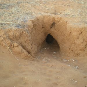 Hole Namibia