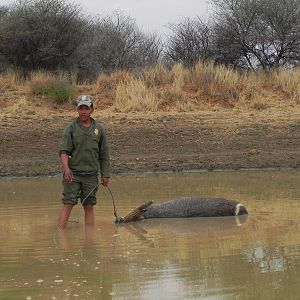 Dead Waterbuck in Water