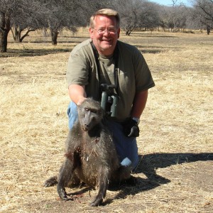 Hunting Chacma Baboon Namibia