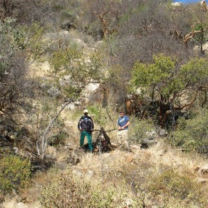 Hunting Chacma Baboon Namibia