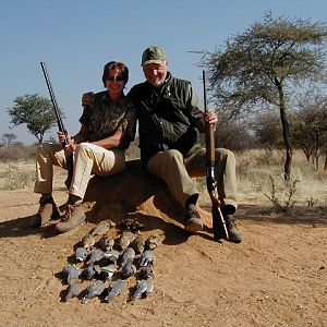 Bird Hunting Namibia Africa