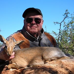 Hunting Damara Dik-Dik in Namibia